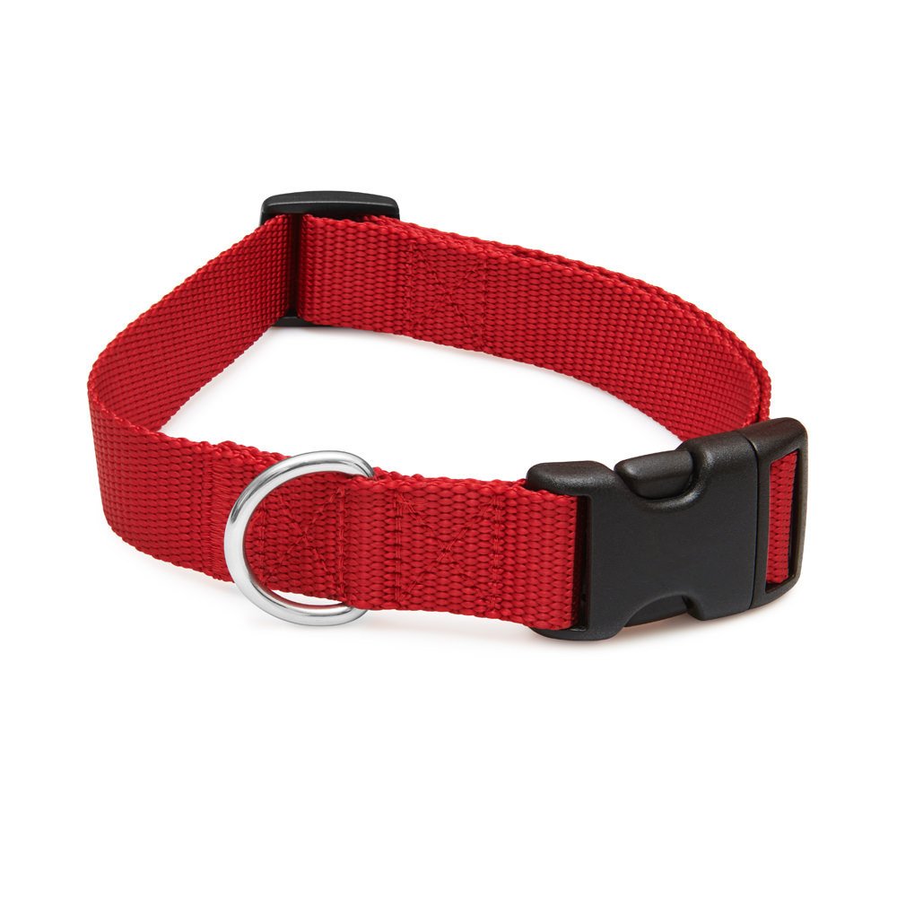 Teal Dog Collar - No Logo