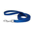 Everyday Dog Leash Blue