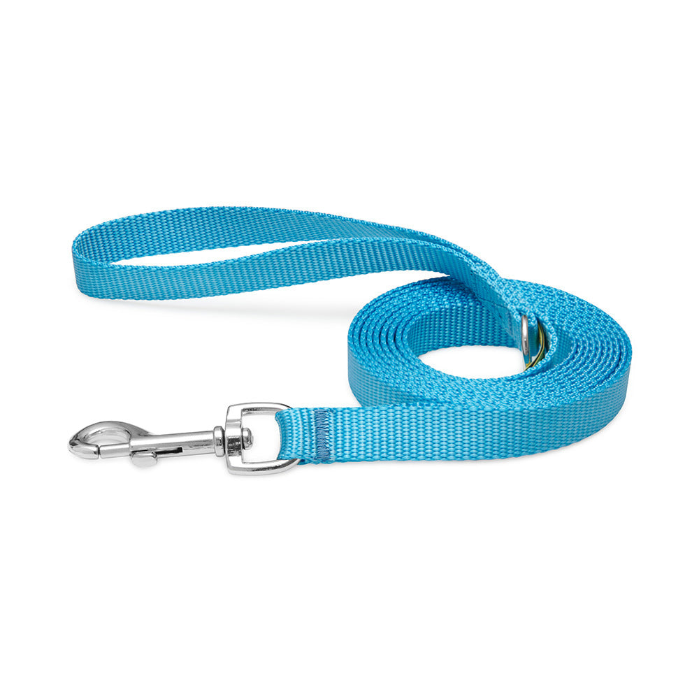 Everyday Dog Leash Ice Blue