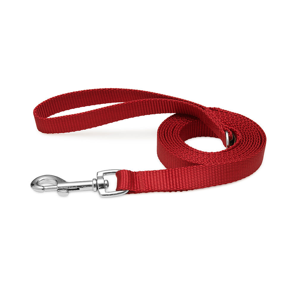 Everyday Dog Leash Red