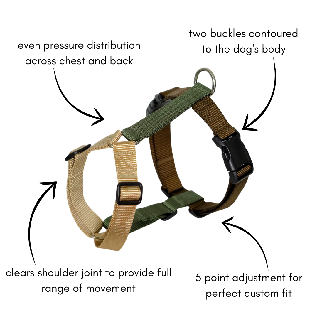 Dog harness Cottage Country