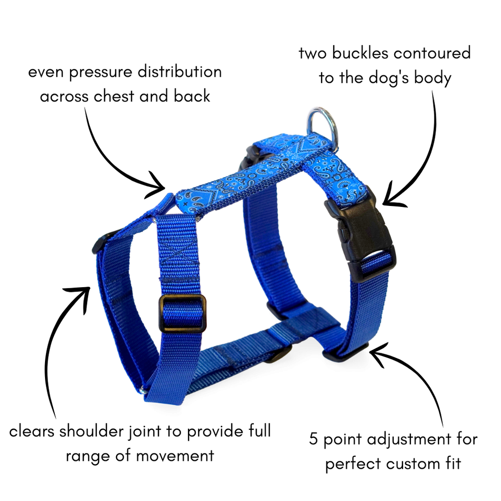 Dog harness Paisley Blue
