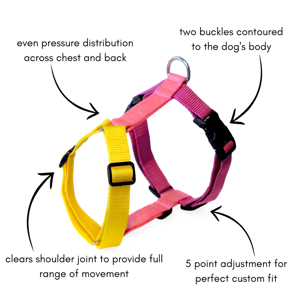Dog harness Tutti-frutty