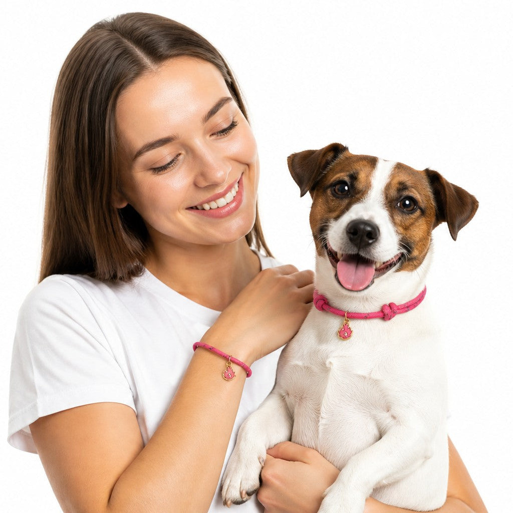 Reflective Tag Collar Pink