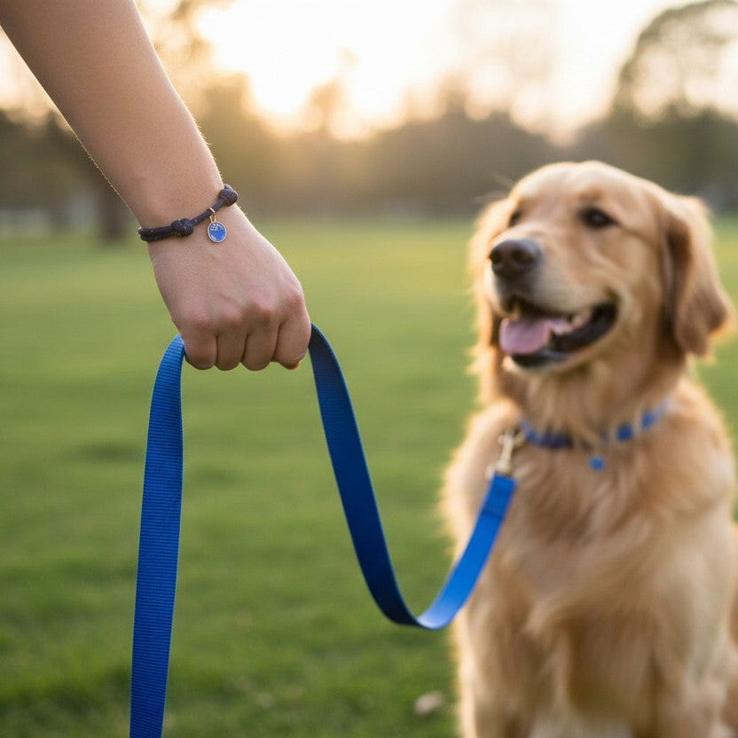 Reflective Friendship Bracelet Navy