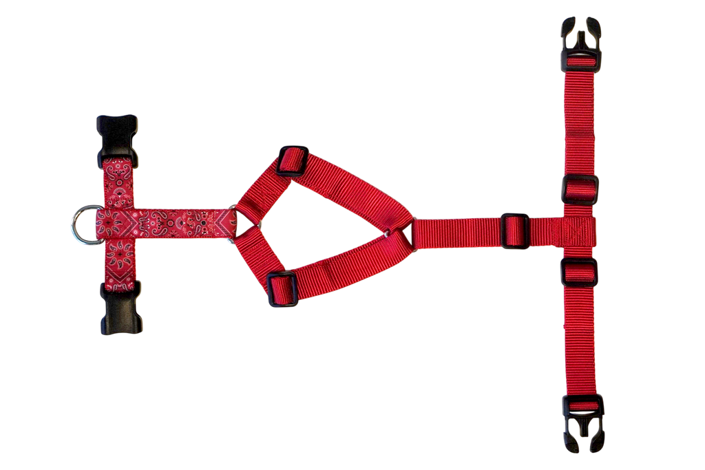 Dog harness Paisley Red