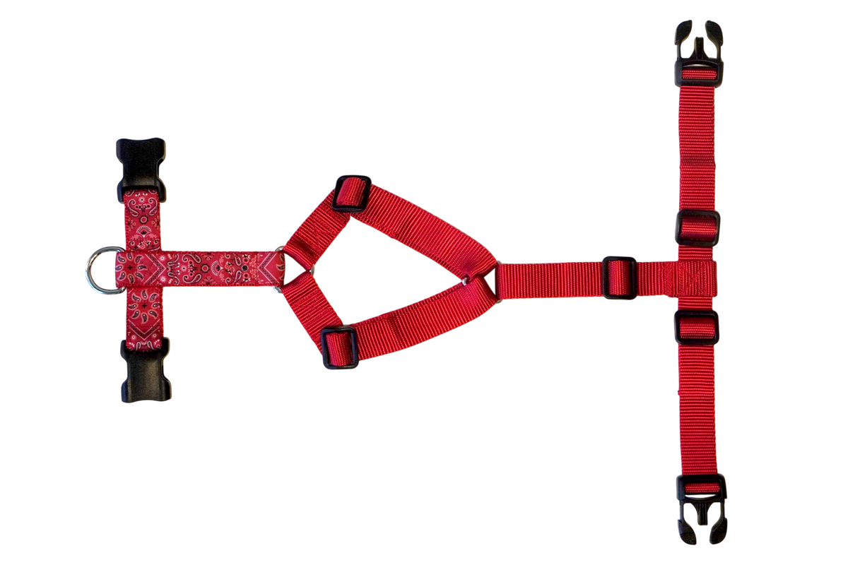Dog harness Paisley Red