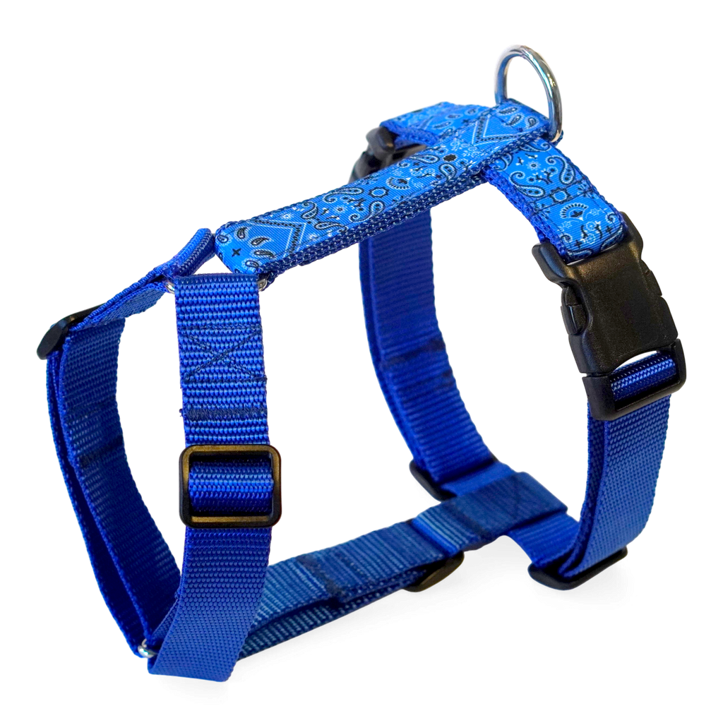 Blue paisley patterned dog harness with black plastic buckles and a metal ring, shown on a white background.