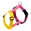 A Y-shape anatomical two-tone dog harness made of nylon webbing, featuring one half in bright yellow and the other in pink, with black plastic quick-release buckles and a silver metal ring at the top.