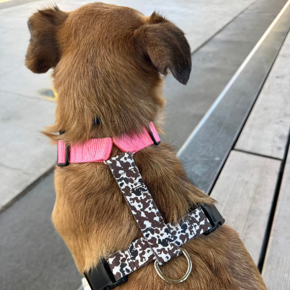 Dog harness Moo