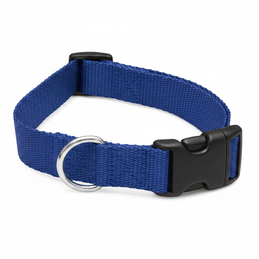 Blue dog collar