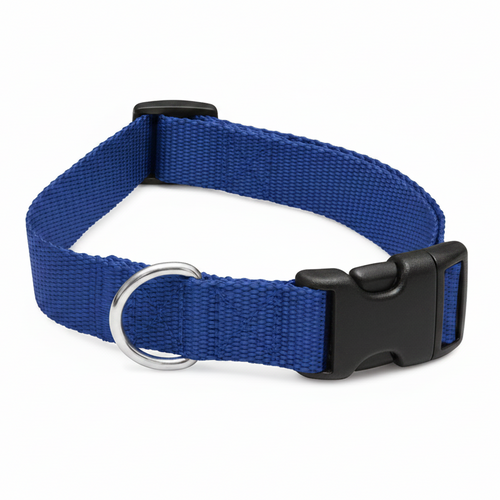 Blue dog collar