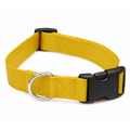 Dog collar Yellow