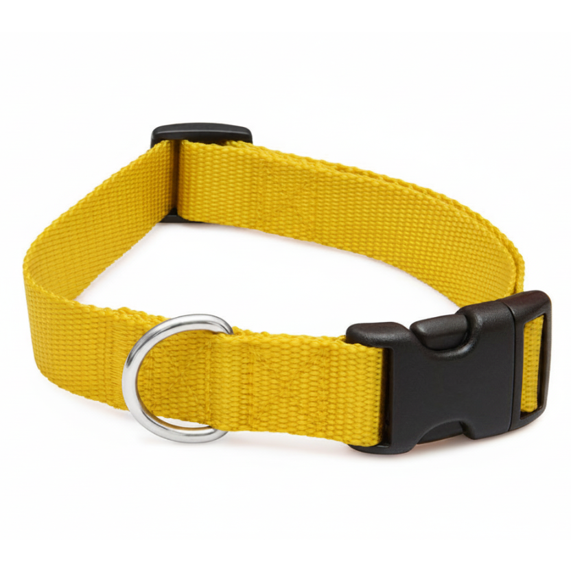 Dog collar Yellow