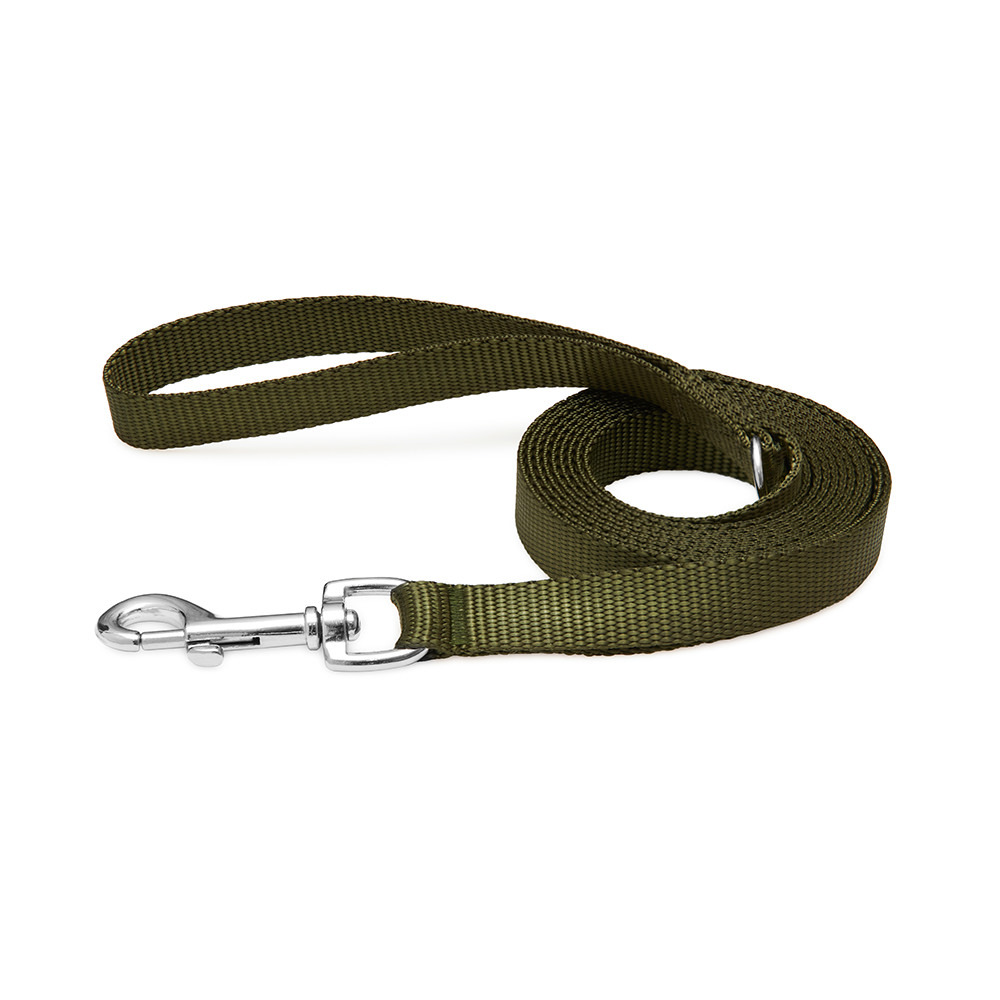 Everyday Dog Leash Olive