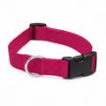 Dog collar Rose