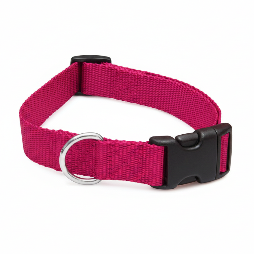 Dog collar Rose