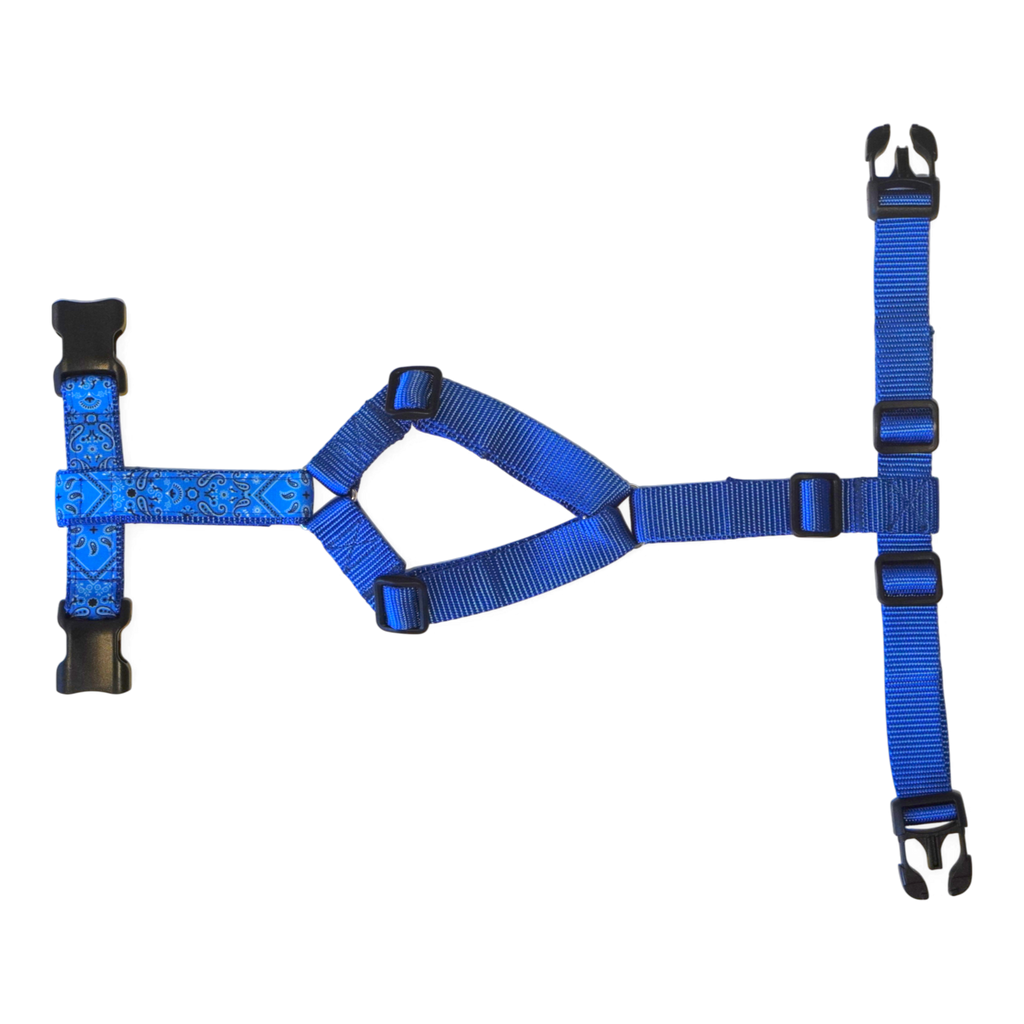 Dog harness Paisley Blue